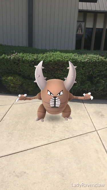 pinsir standing on the ground next to a hedge